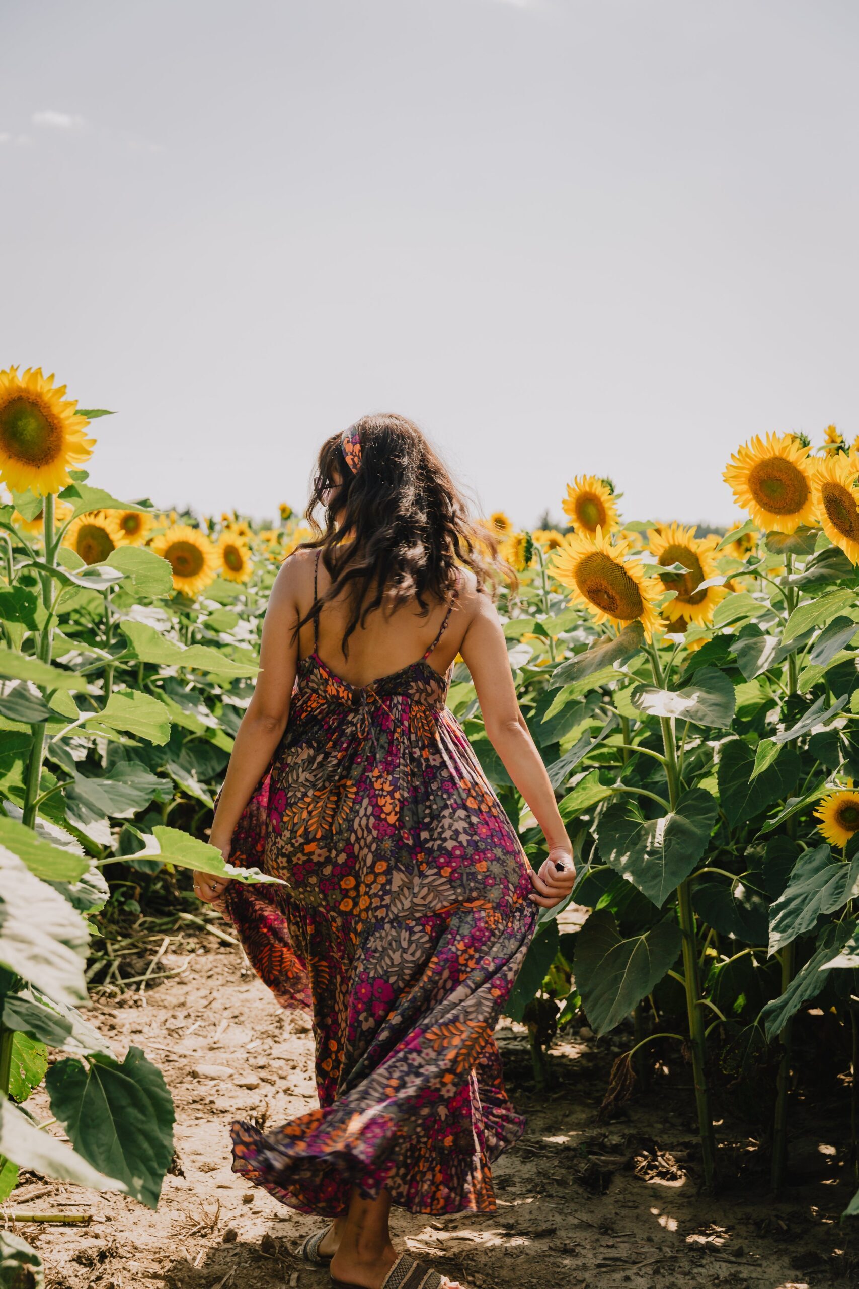 woman walking through sunflowers.Beverly Chappell Thoughts Matter NLP and Hypnotherapy.